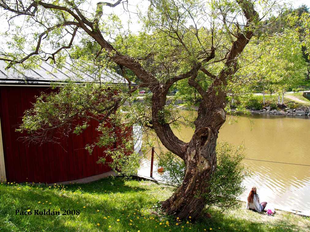 Foto de Porvoo, Finlandia