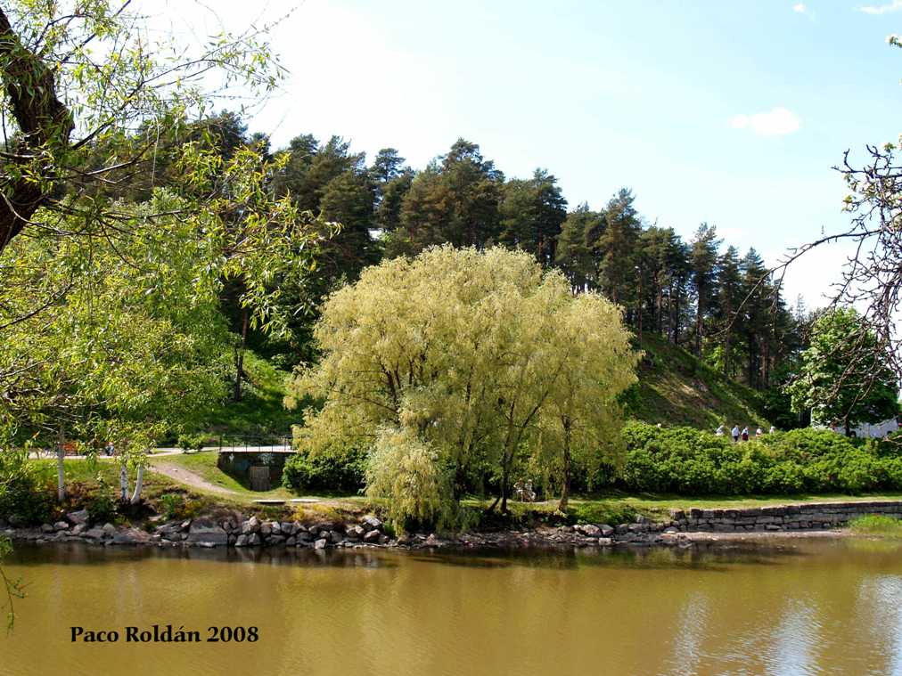Foto de Porvoo, Finlandia