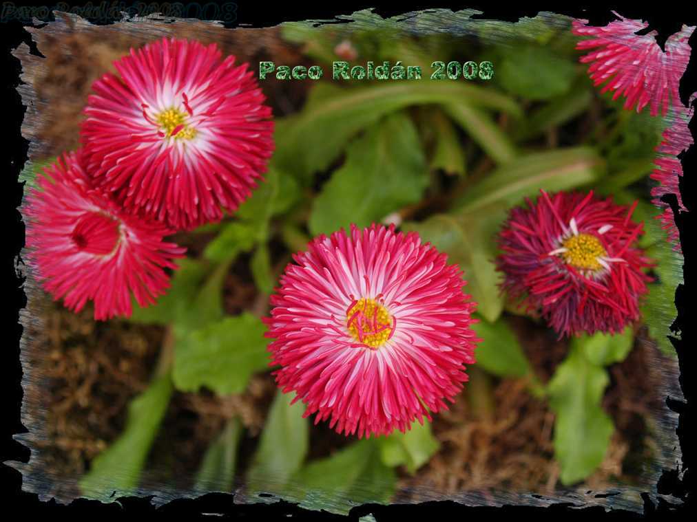 Foto de Porvoo, Finlandia