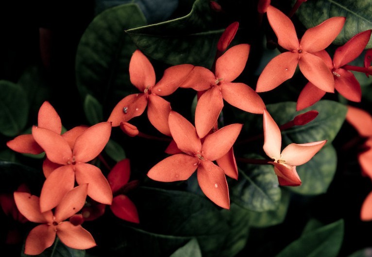 Foto de Barcelona (Cataluña), España