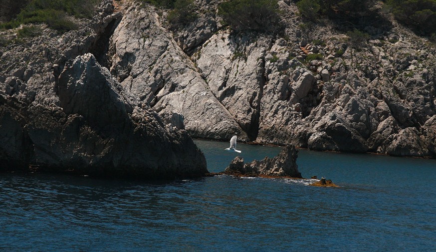 Foto de Illes Medes (Girona), España