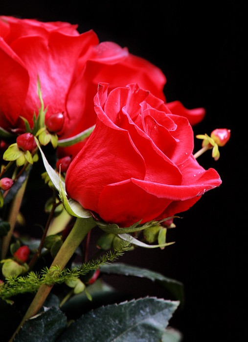 Foto de Barcelona (Cataluña), España