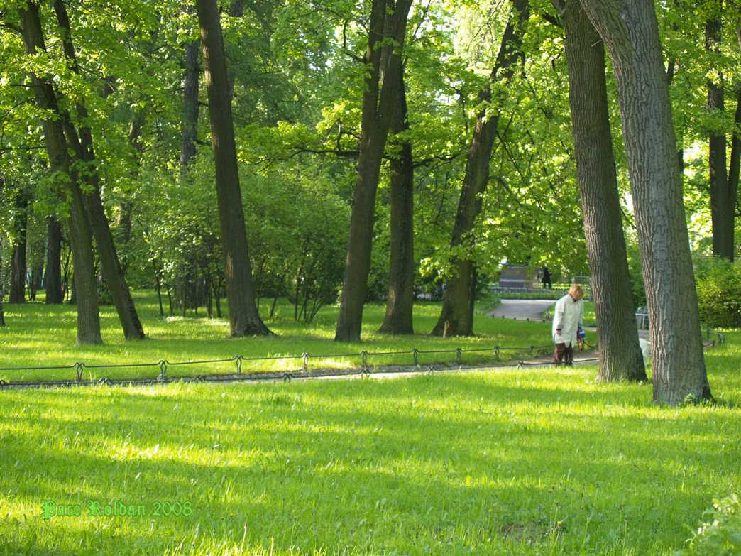 Foto de St.Peterburg, Rusia