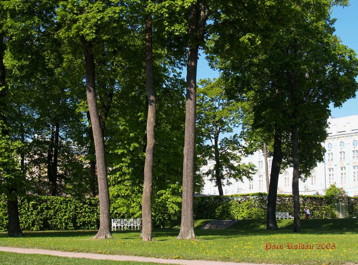 Foto de St.Peterburg, Rusia