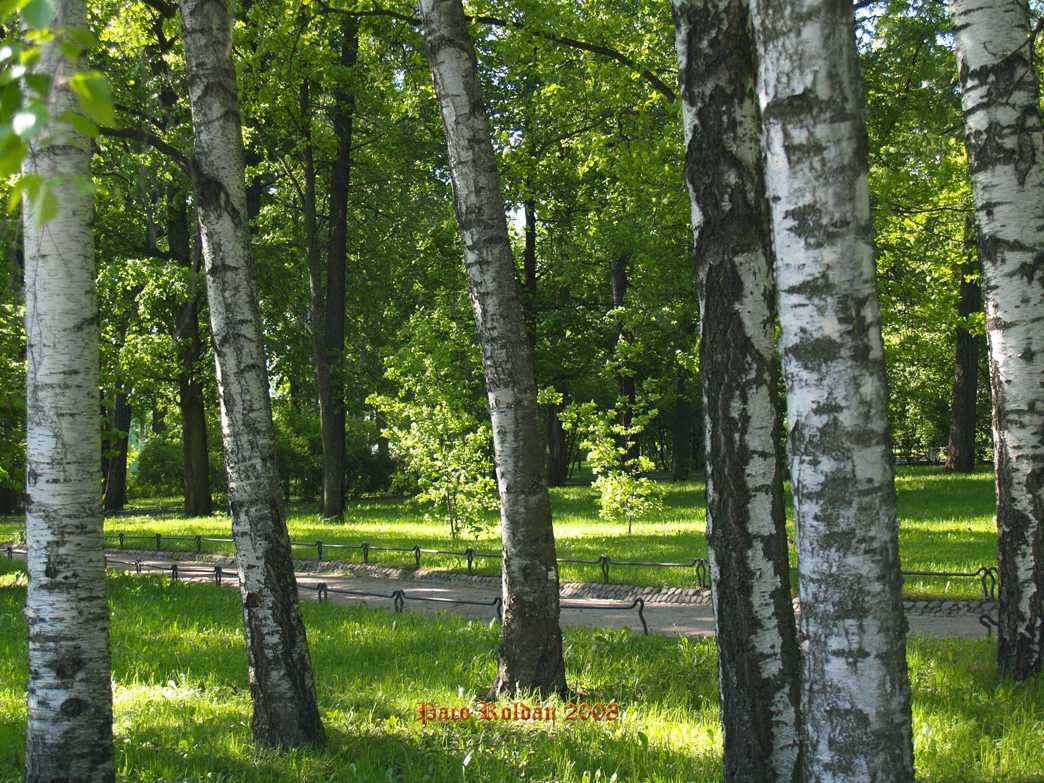 Foto de St.Peterburg, Rusia