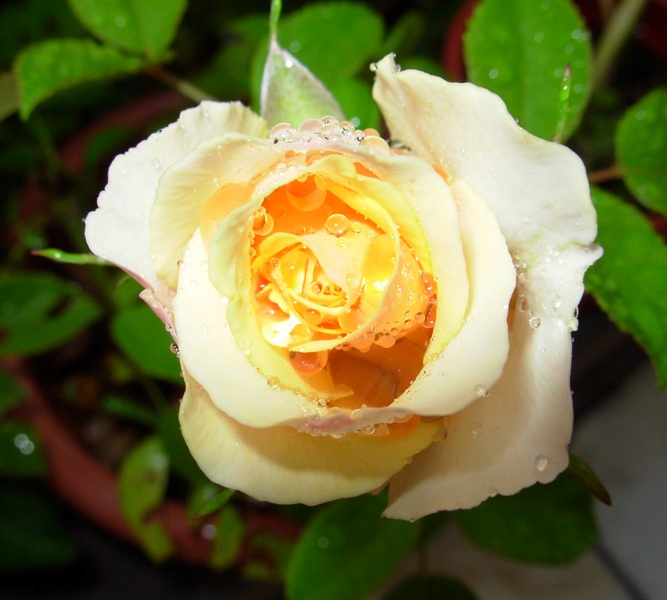 Foto de Barcelona (Cataluña), España