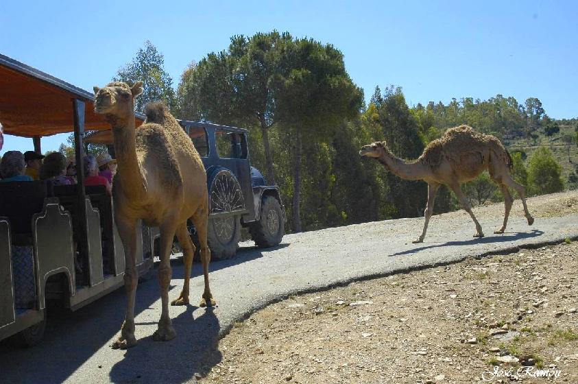 Foto de Sevilla (Andalucía), España