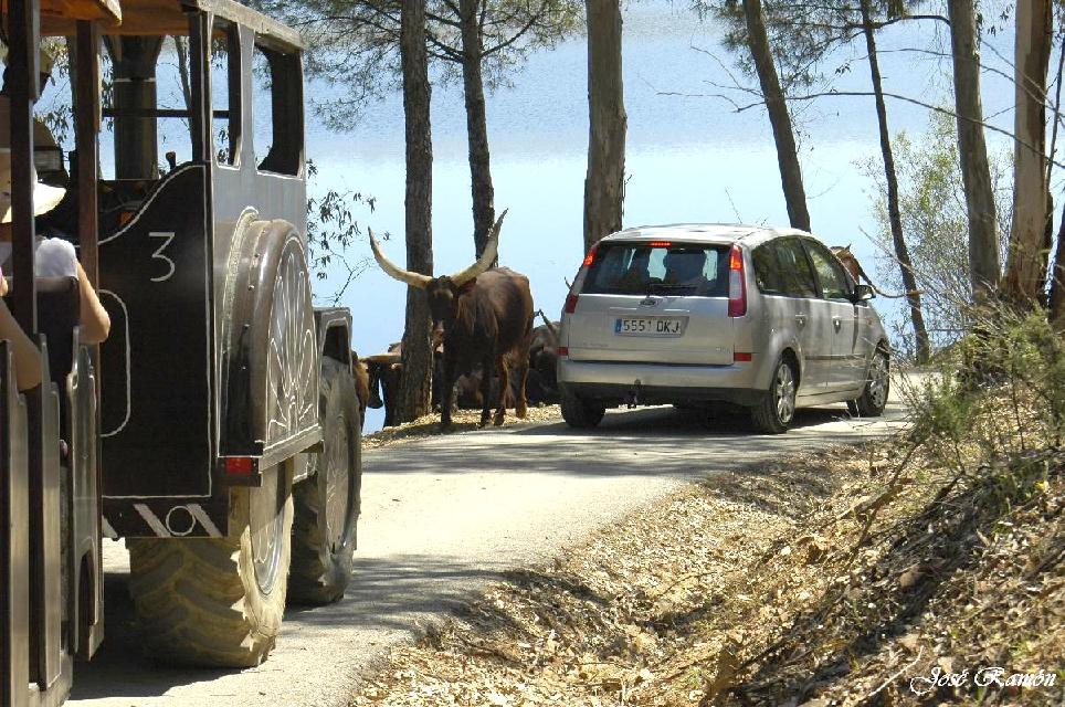 Foto de Sevilla (Andalucía), España