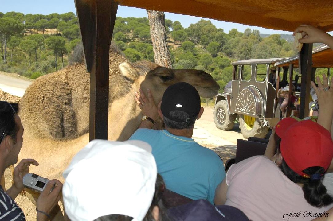 Foto de Sevilla (Andalucía), España