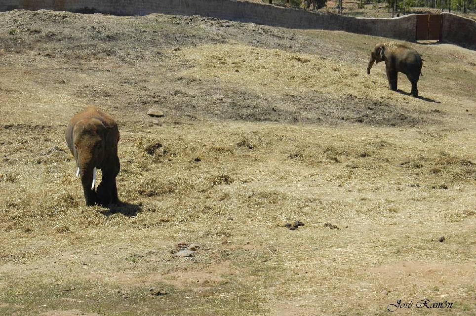 Foto de Sevilla (Andalucía), España