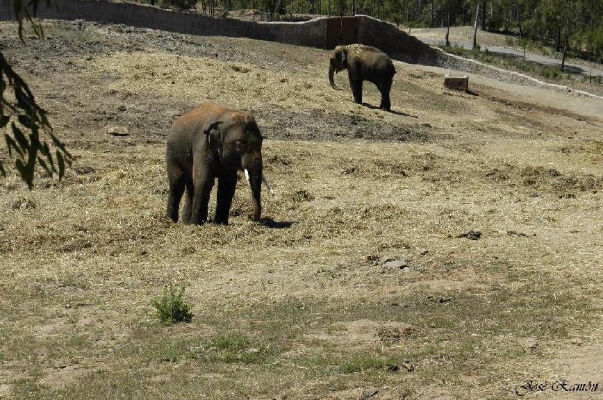 Foto de Sevilla (Andalucía), España