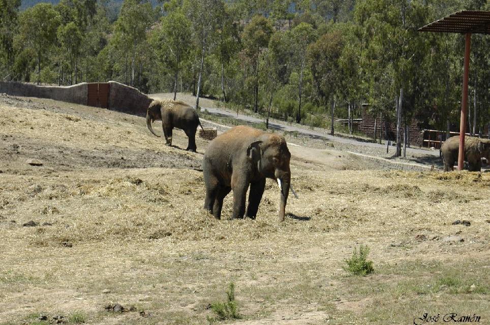 Foto de Sevilla (Andalucía), España