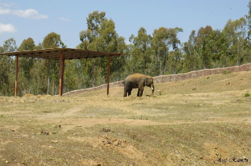 Foto de Sevilla (Andalucía), España