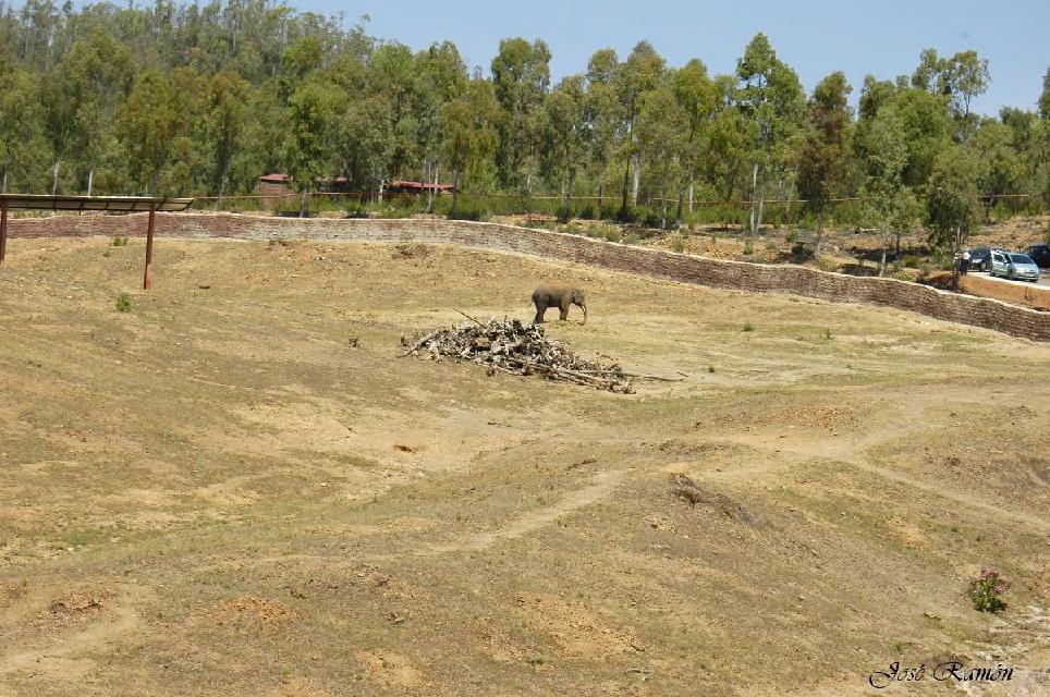 Foto de Sevilla (Andalucía), España