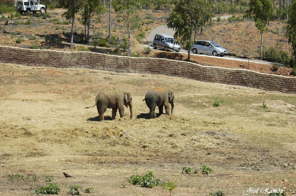 Foto de Sevilla (Andalucía), España
