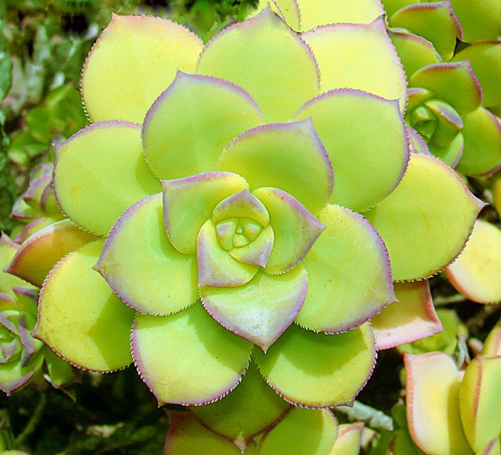 Foto de Barcelona (Cataluña), España