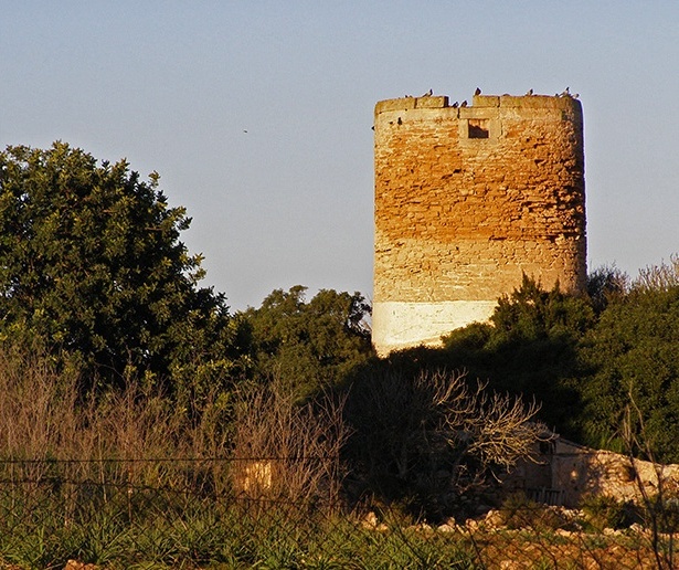 Foto de Mallorca (Illes Balears), España