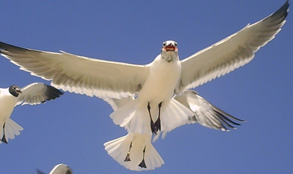 Foto de Menorca (Illes Balears), España