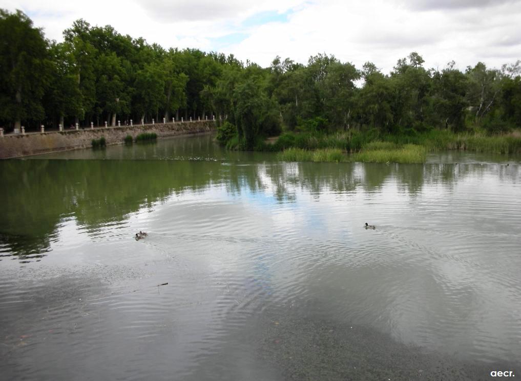 Foto de Aranjuez (Madrid), España