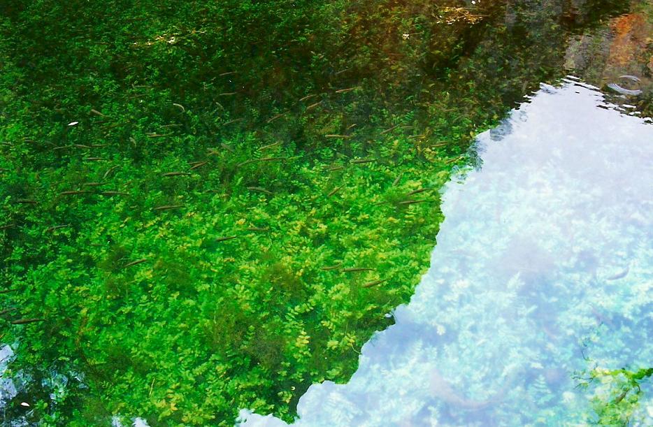 Foto de Nuévalos (Zaragoza), España