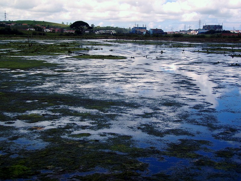 Foto de Astillero (Cantabria), España