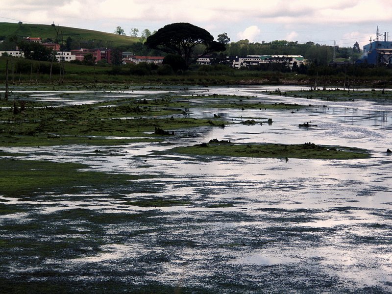 Foto de Astillero (Cantabria), España