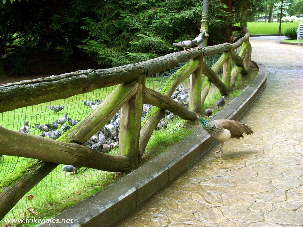 Foto de Oviedo (Asturias), España