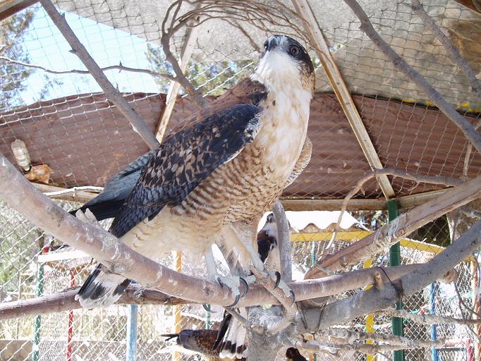 Foto de Oruro, Bolivia