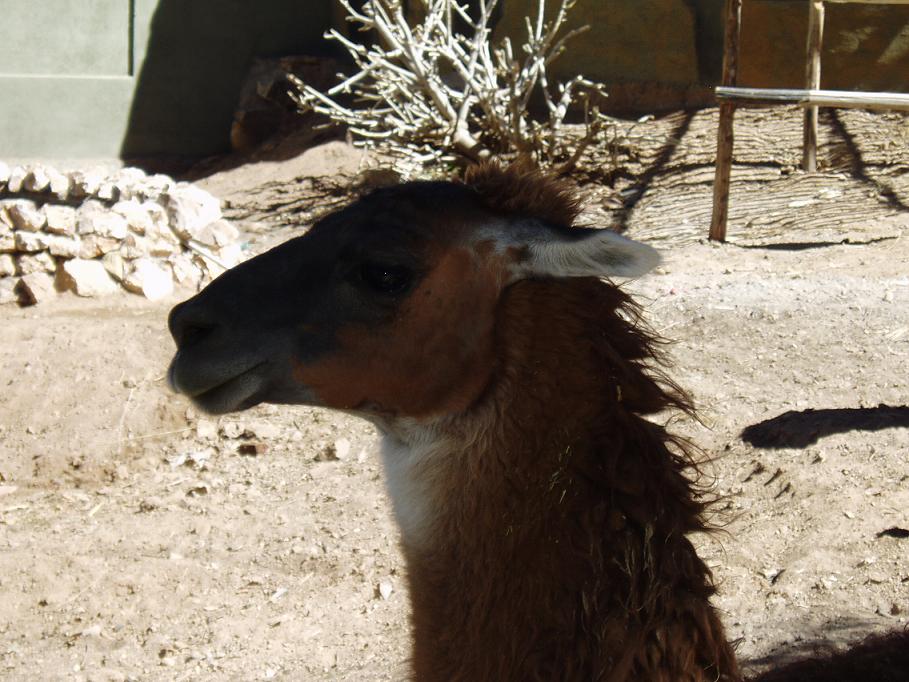 Foto de Oruro, Bolivia