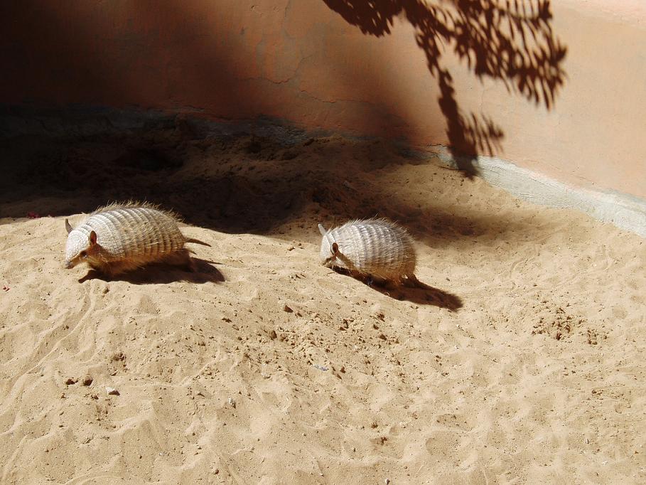 Foto de Oruro, Bolivia