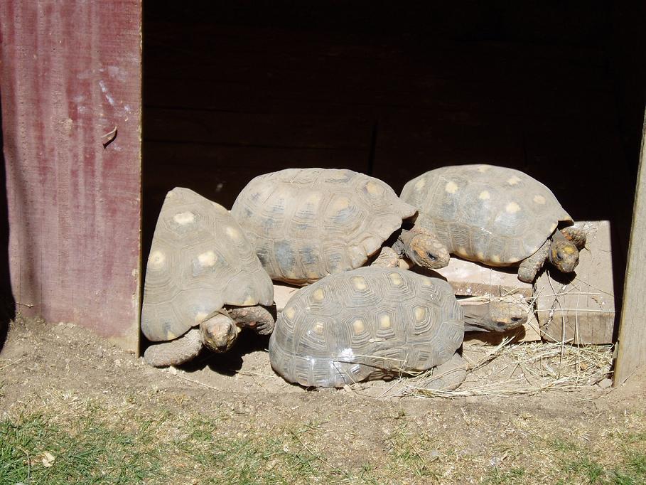 Foto de Oruro, Bolivia