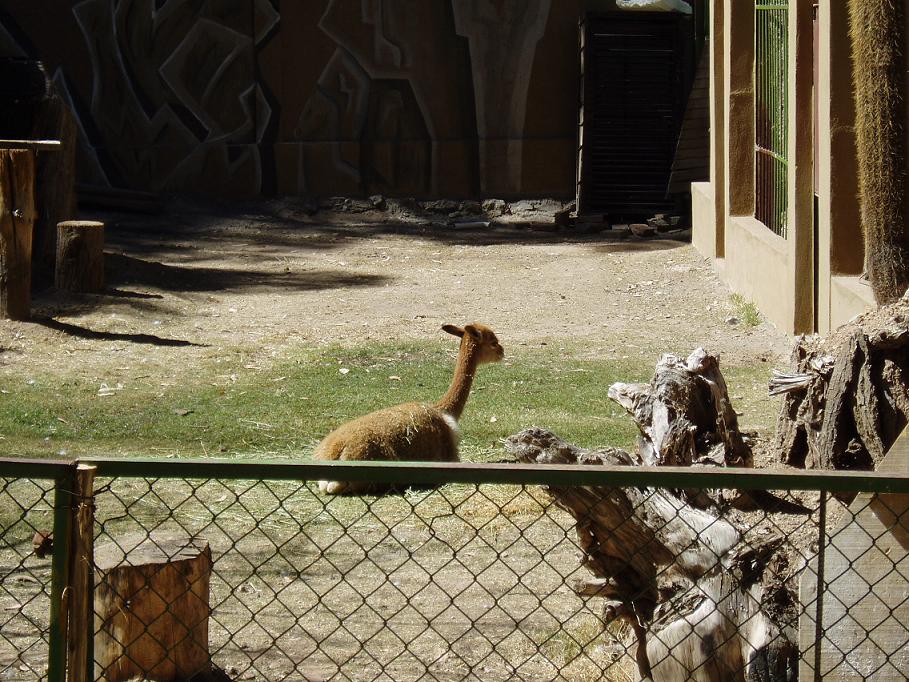 Foto de Oruro, Bolivia
