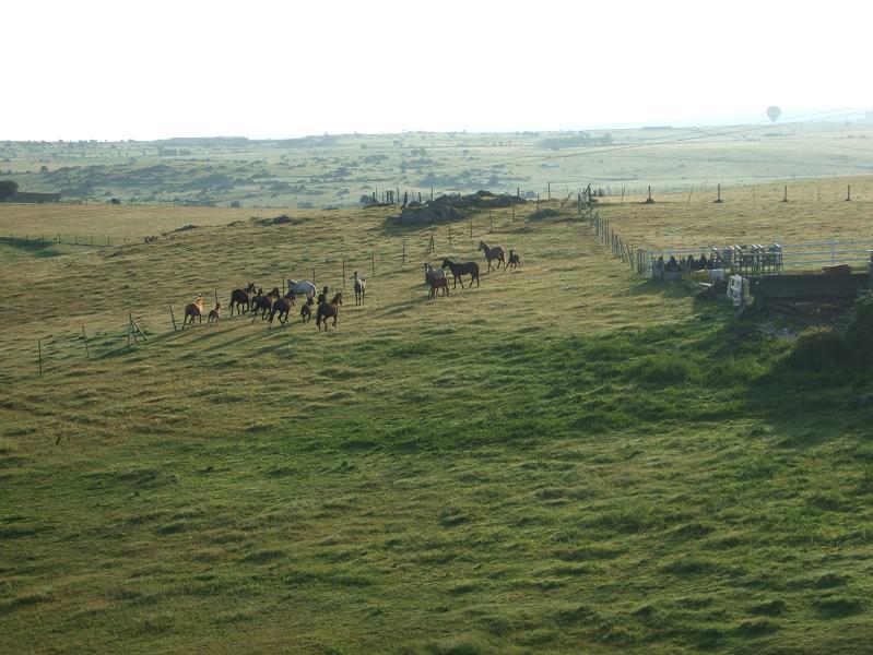 Foto de Segovia (Castilla y León), España
