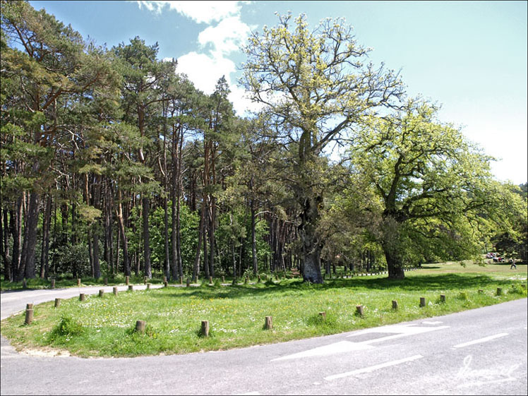 Foto de Botaya (Huesca), España