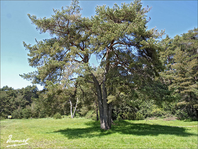 Foto de Botaya (Huesca), España
