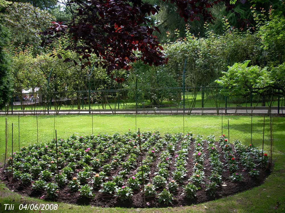 Foto de Oviedo (Asturias), España