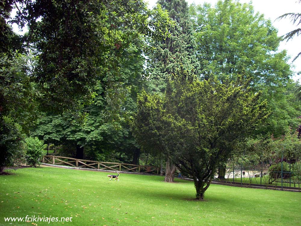 Foto de Oviedo (Asturias), España