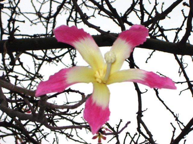 Foto de Buenos Aires, Argentina