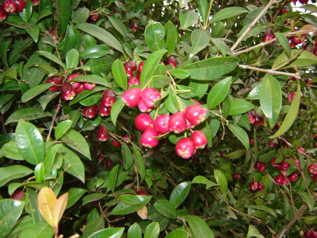 Foto de Buenos Aires, Argentina