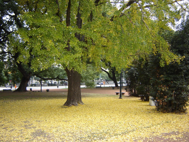 Foto de Buenos Aires, Argentina