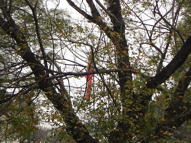 Foto de Buenos Aires, Argentina