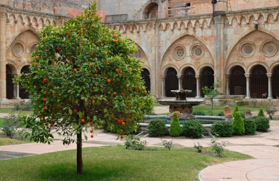 Foto de Tarragona (Cataluña), España