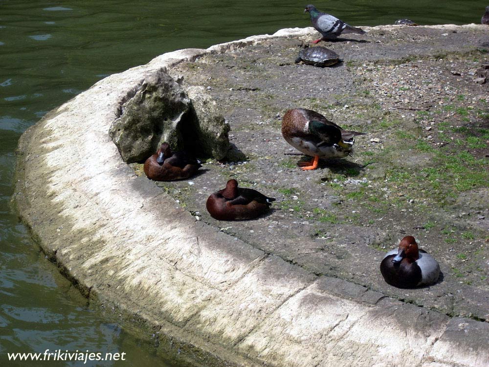 Foto de Oviedo (Asturias), España