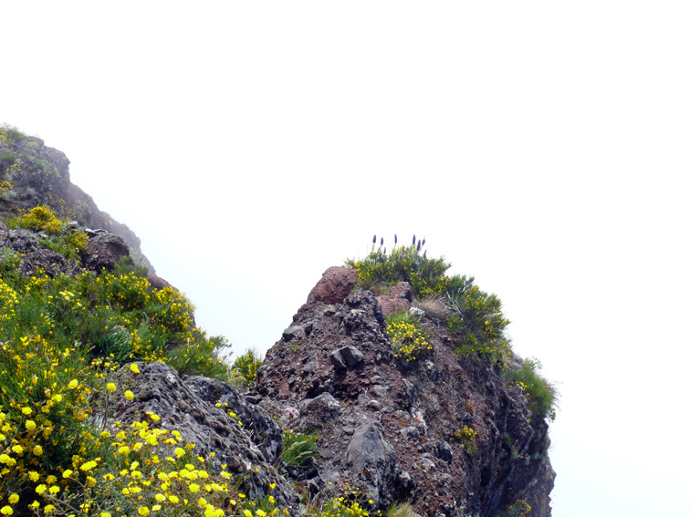 Foto de Madeira, Portugal