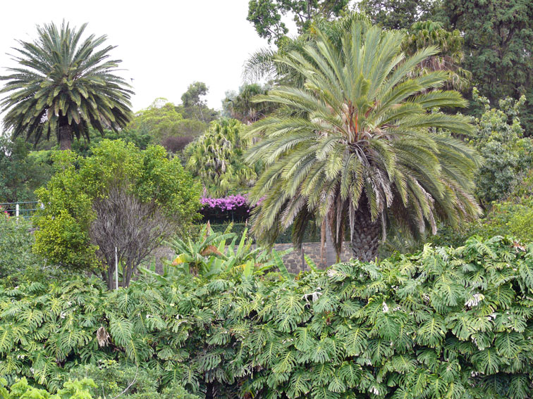 Foto de Madeira, Portugal