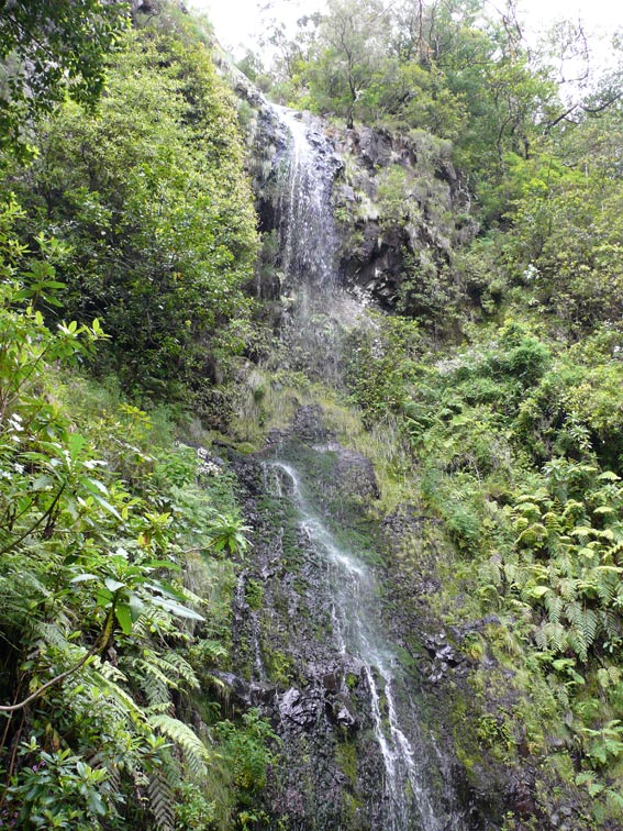 Foto de Madeira, Portugal