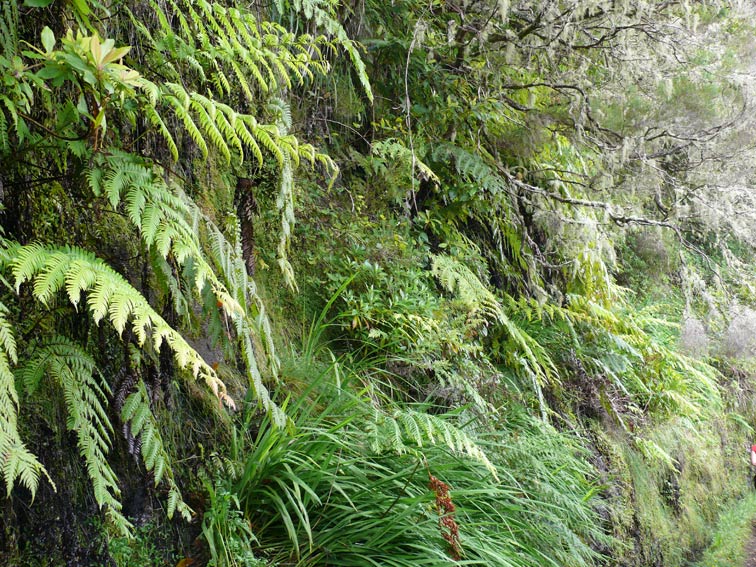 Foto de Madeira, Portugal