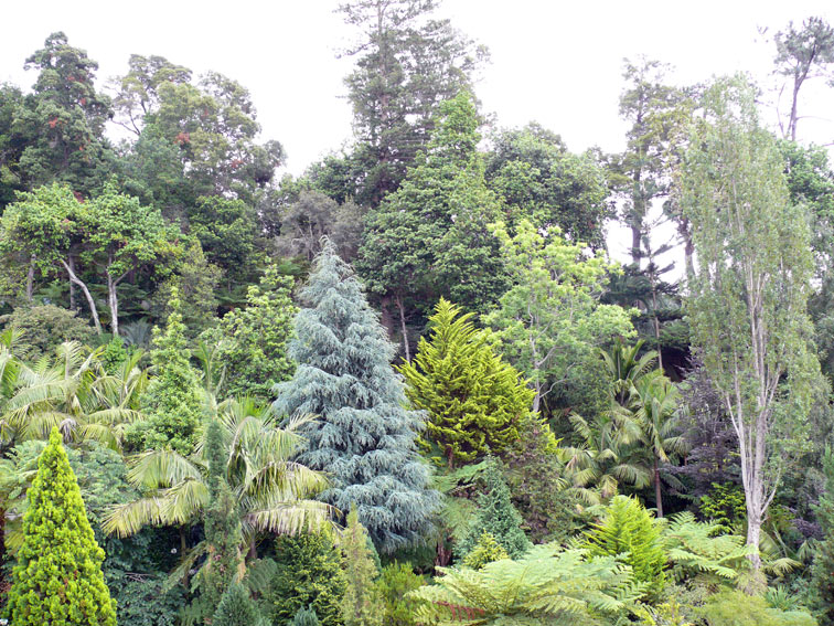 Foto de Madeira, Portugal