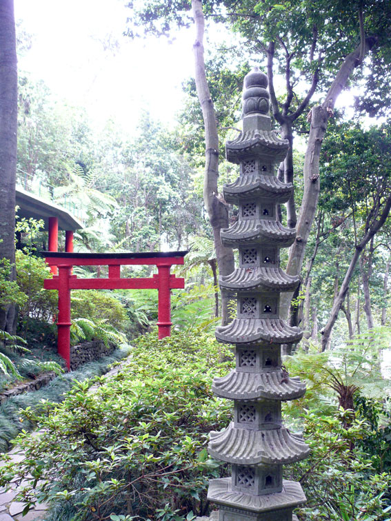 Foto de Madeira, Portugal