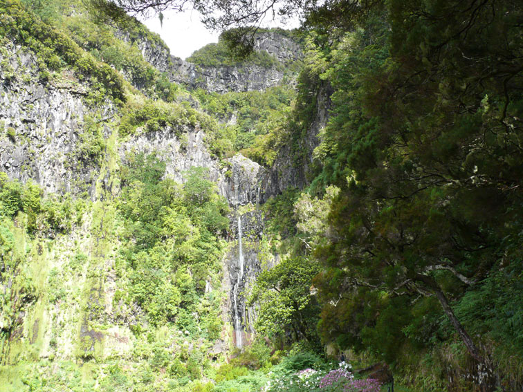 Foto de Madeira, Portugal